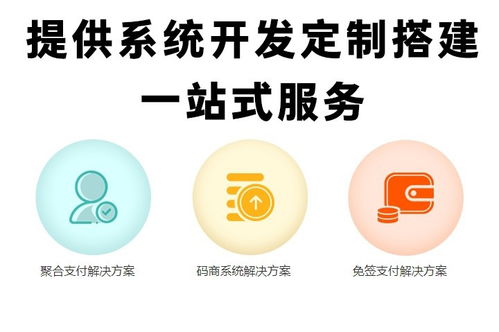 深圳软件开发 免签支付系统源码开发的实践与前景