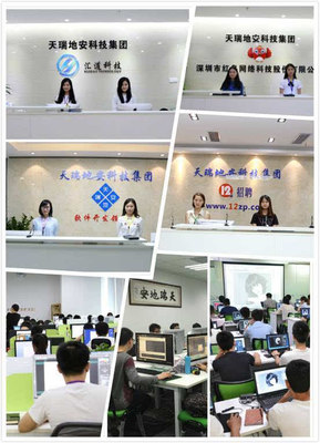 天瑞地安科技集团高速崛起 荣获德勤-深圳明日之星，引领深圳软件开发新风向